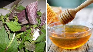 Mặt nạ tía tô và mật ong