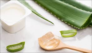 Mặt nạ sữa chua và nha đam